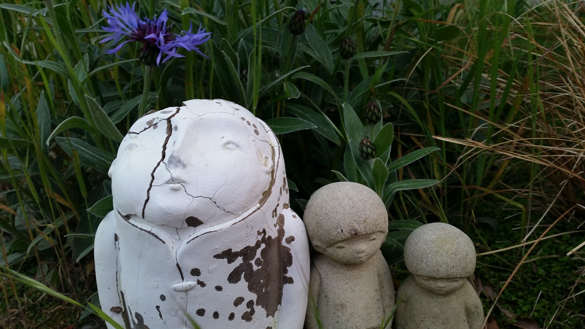 Journée de Constellations familiales et systémiques le dimanche 20 octobre 2019