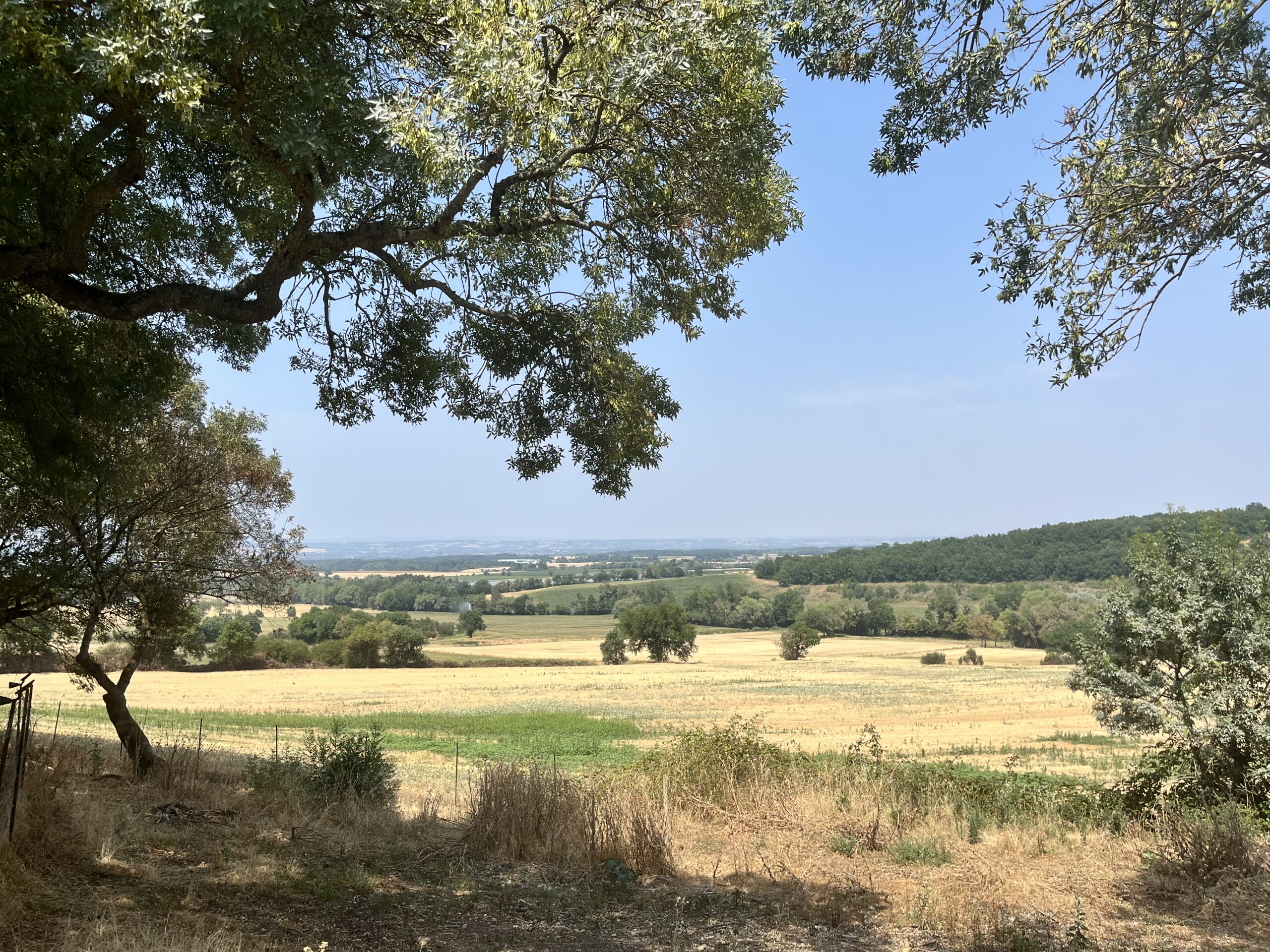 tarn campagne nature calme