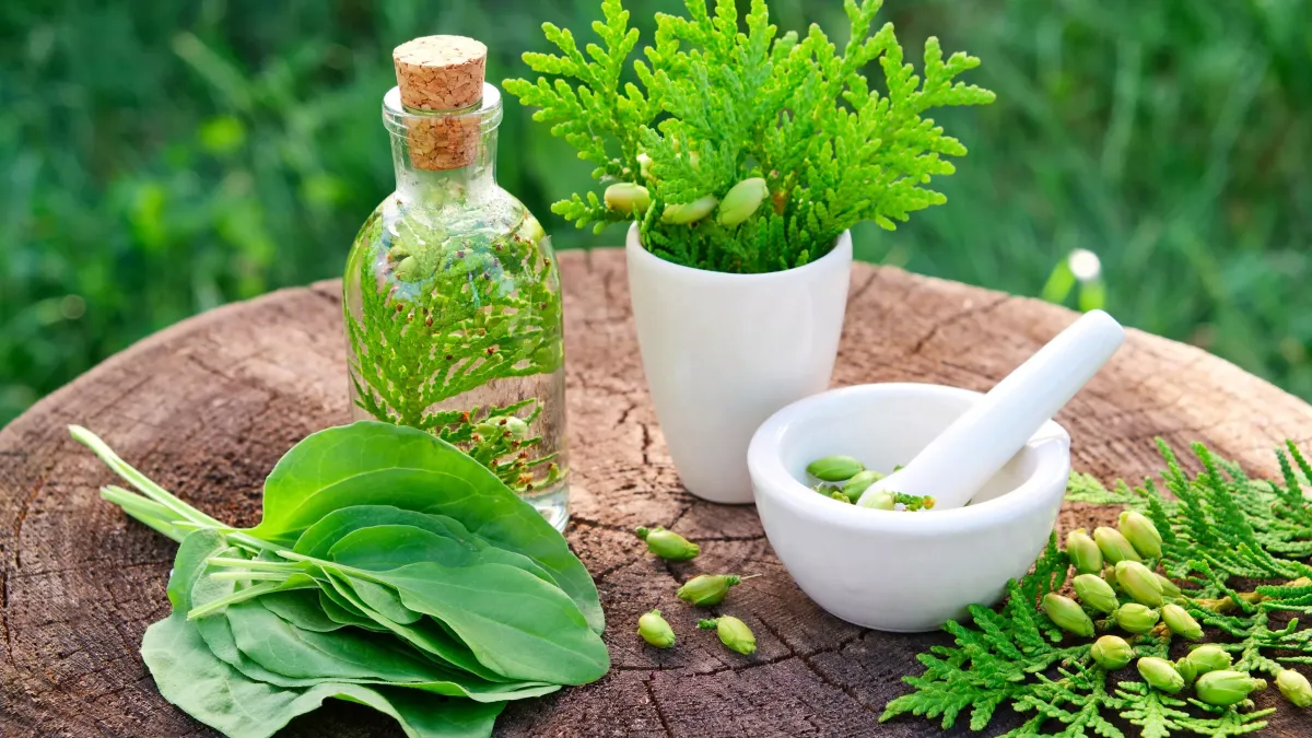 c'est quoi la naturopathie