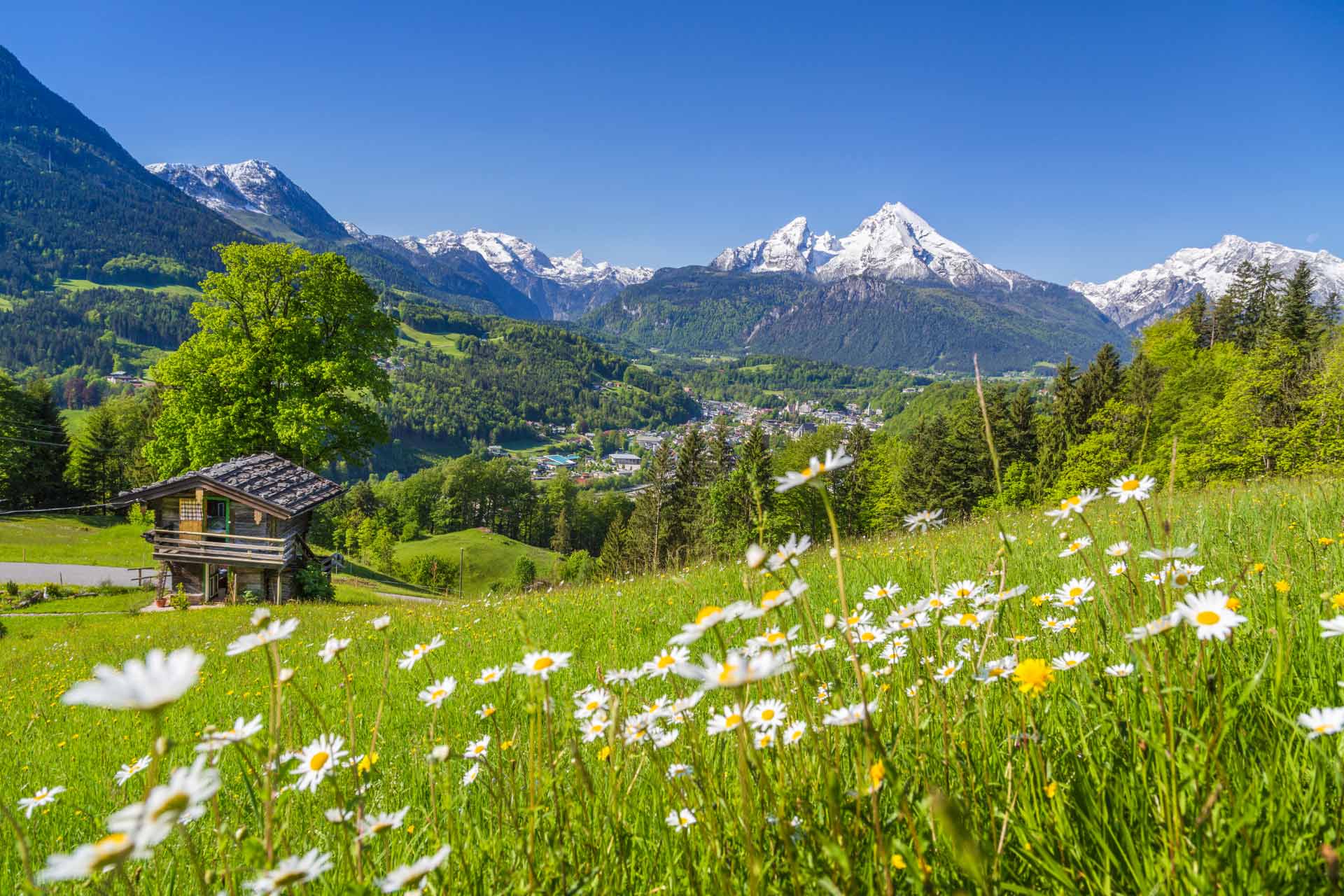 ete campagne nature calme
